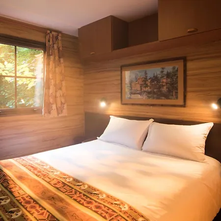 Davy Crockett Ranch アパートホテル 4*