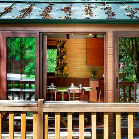 Davy Crockett Ranch アパートホテル